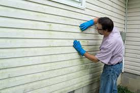 Best Wood Siding Installation  in Rome, IL